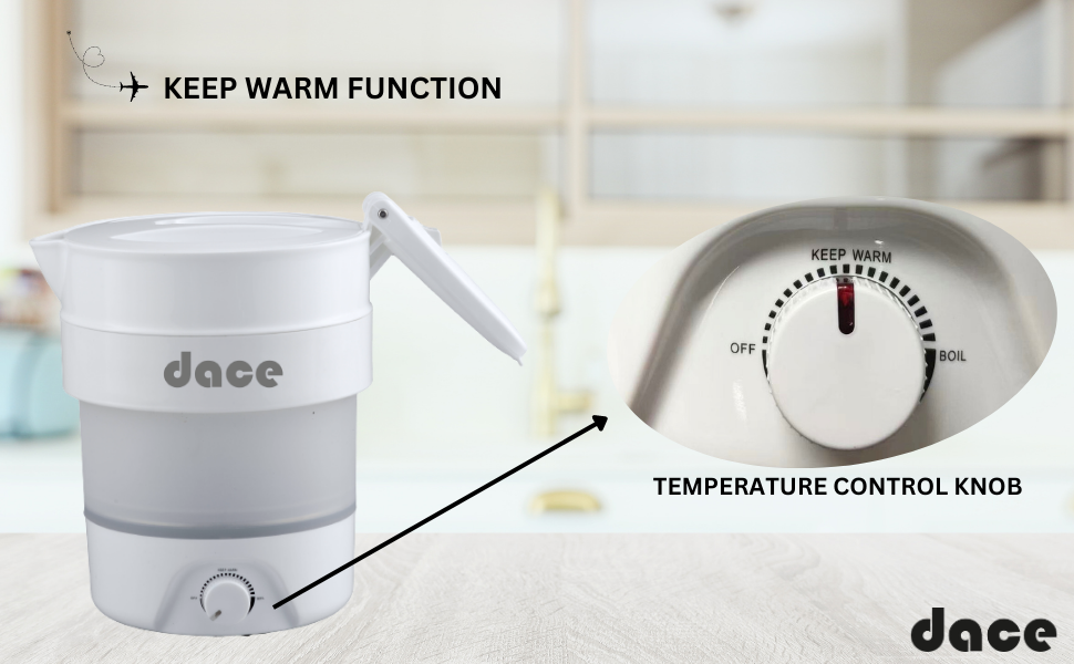 Travel kettle with temperature control